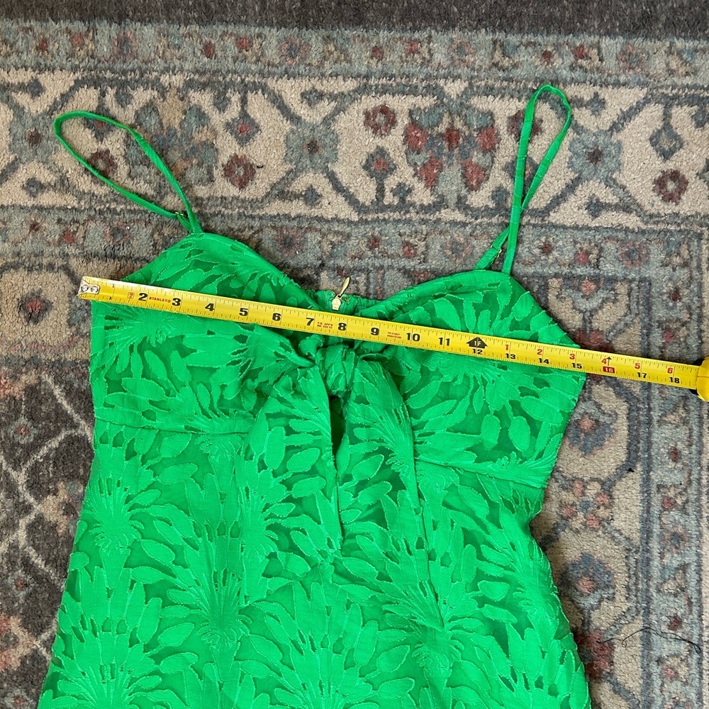 Lilly Pulitzer Sarahlynne Maxi Dress - Picture 8 of 10